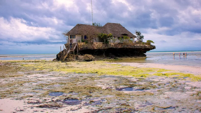 Blue Lagoon, Starfish, The Rock, Paje & Maalum Cave Tour