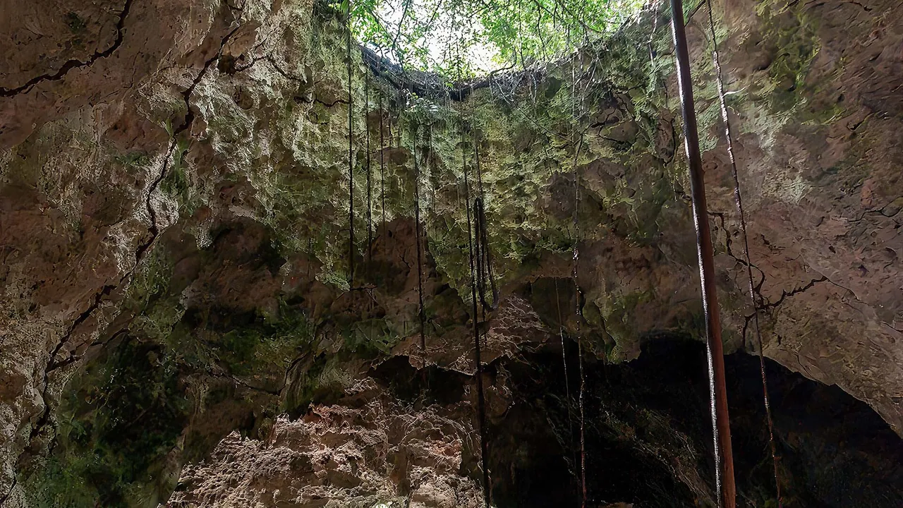Tour zur Blue Lagoon, zu den Seesternen und zur Kuza Cave