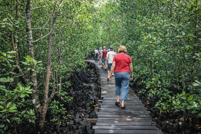 Jozani Forest, Kuza Cave & Paje Beach Tour