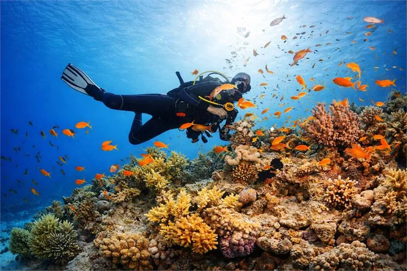 Zanzibar tours and excursions